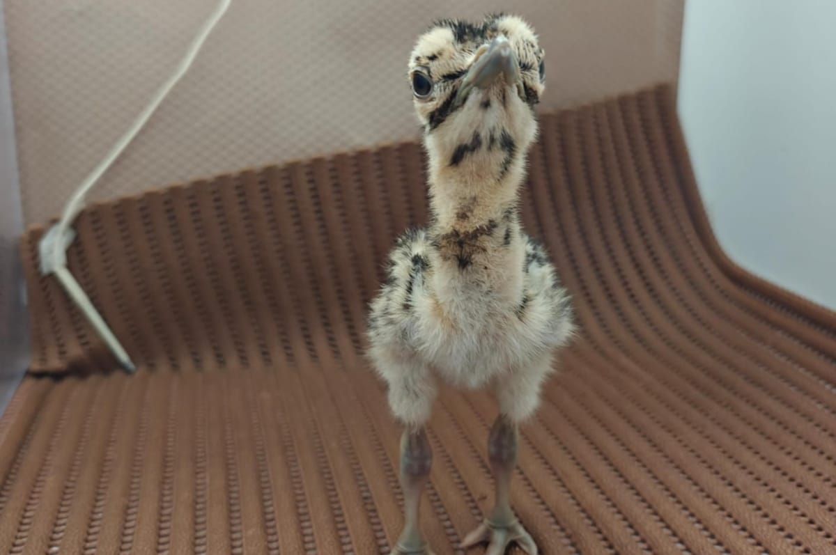 Latest and Breaking News on NDTV Latest and Breaking News on NDTV