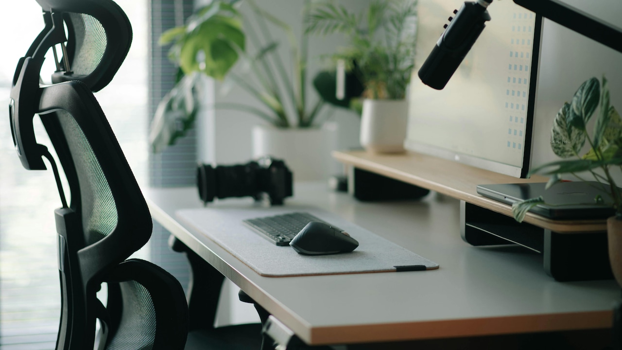 Best Chair For Back Pain: Gaming vs Ergonomic Chairs Compared