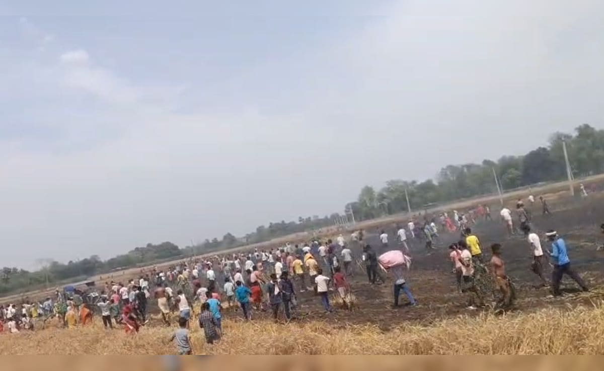 बेगूसराय के बटाईदार किसानों पर टूटा दुखों का पहाड़, ट्रांसफार्मर की चिंगारी ने लील ली 35 बीघा गेहूं की फसल