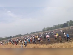 बेगूसराय के बटाईदार किसानों पर टूटा दुखों का पहाड़, ट्रांसफार्मर की चिंगारी ने लील ली 35 बीघा गेहूं की फसल