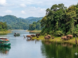 Why Thekkady In Kerala Is The Ultimate Destination For Wildlife Lovers