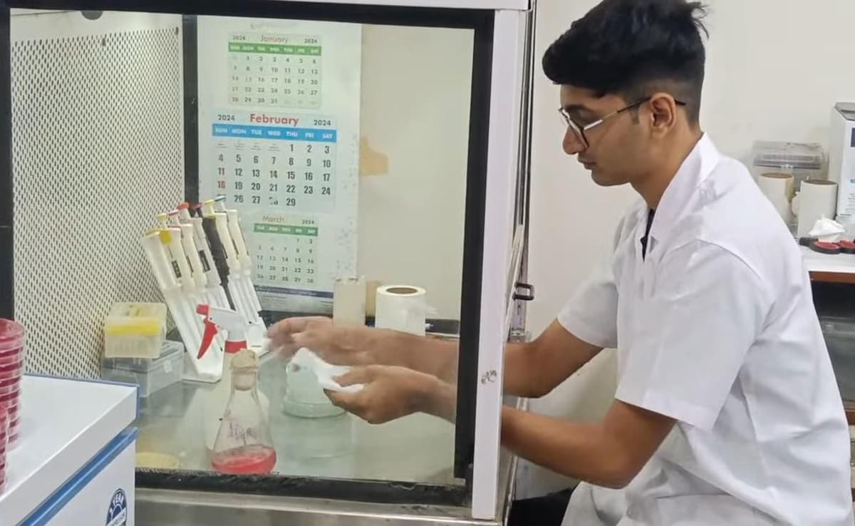 Vadodara students discover bioluminescent bacteria in sea water: 