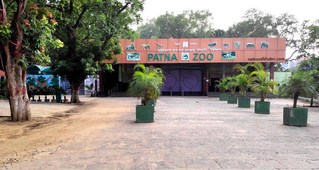 Bihar To Get Its First Treetop Walkway At Patna Zoo, All You Need To Know
