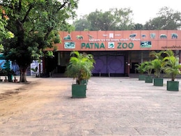 Bihar To Get Its First Treetop Walkway At Patna Zoo, What Travellers Should Know