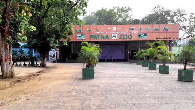 Bihar To Get Its First Treetop Walkway At Patna Zoo, What Travellers Should Know