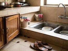 किचनमधील झुरळांचा होईल कायमचा  बंदोबस्त; महागड्या औषधांची गरज नाही, फक्त वापरा या 9 सोप्या टिप्स