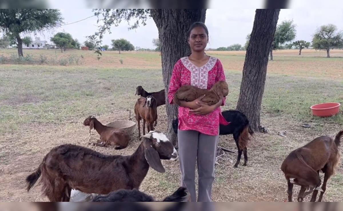 12th Topper Ki Diary: मैंने बकरी चराते-चराते की पढ़ाई और 99.60 फीसदी लाकर किया पूरे राजस्‍थान में टॉप