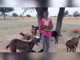 12th Topper Ki Diary: मैंने बकरी चराते-चराते की पढ़ाई और 99.60 फीसदी लाकर किया पूरे राजस्&zwj;थान में टॉप