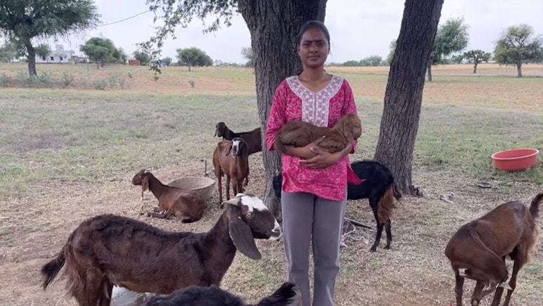 12th Topper Ki Diary: मैंने बकरी चराते-चराते की पढ़ाई और 99.60 फीसदी लाकर किया पूरे राजस्&zwj;थान में टॉप