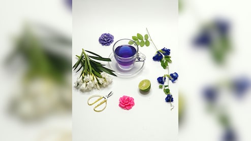 क्या आपने पी है ब्लू टी? जानिए नीली चाय से दिन की शुरुआत करने के फायदे