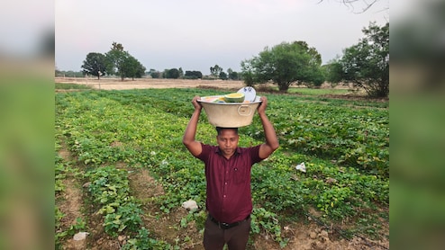 एक खेत, कई रंग; कोरिया के किसान की अनोखी खेती, पीले तरबूज से लेकर सफेद करेले व जुचिनी तक की धूम