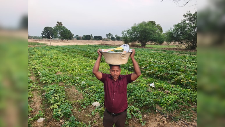 एक खेत, कई रंग; कोरिया के किसान की अनोखी खेती, पीले तरबूज से लेकर सफेद करेले व जुचिनी तक की धूम