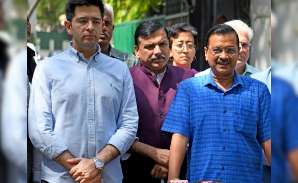 AAP Drops Raghav Chadha, Once Its Key Face, As Rajya Sabha Deputy Leader