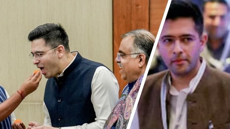 "Critique, not attack": Delhi Court To Raghav Chadha on 'Sold Out' Post