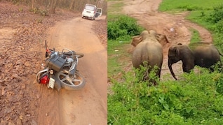 Elephant Attack: सूरजपुर में हाथियों का तांडव जारी, 24 घंटे में एक और शख्स को मार डाला