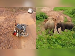 Elephant Attack: सूरजपुर में हाथियों का तांडव जारी, 24 घंटे में एक और शख्स को मार डाला