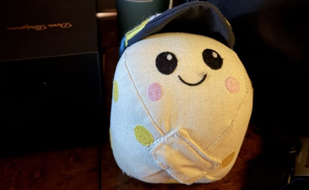 Artemis II Astronauts' Emotional Message For The Little Crew Member Wins Hearts Online