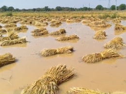 भिंड में फिर बरसी आफत, बारिश और ओलावृष्टि से खेतों में डूबी मेहनत, टूटा किसान&nbsp;