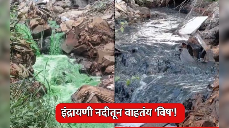 Pimpri Chinchwad: इंद्रायणी नदीतून वाहतंय 'विष'! पिंपरी-चिंचवडमधील नागरिकांच्या आरोग्याला धोका