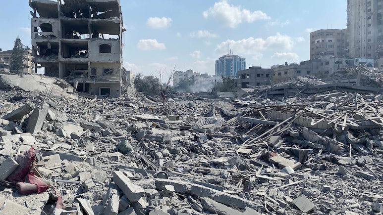 फिलिस्तीन के समर्थन में प्रदर्शन के लिए भारतीय मूल की महिला पर सिंगापुर में लगा 2,341 अमेरिकी डॉलर का जुर्माना