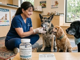 1,300 Pets Are Currently Testing A New Drug That Can Make Your Dog Live Longer