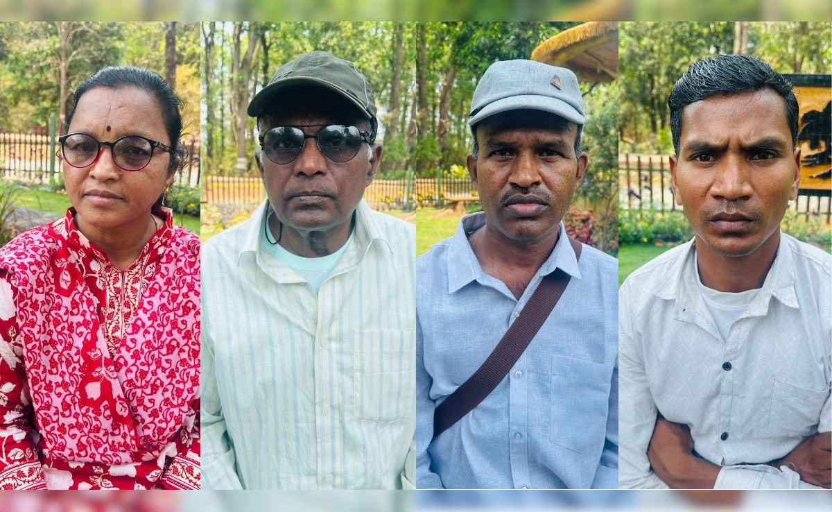 The Art of Baking: From Classic Bread to Artisan Pastries