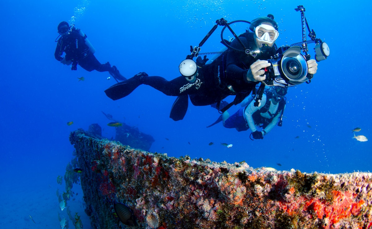 Latest and Breaking News on NDTV Latest and Breaking News on NDTV