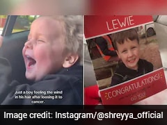 Small Boy's Video Of 