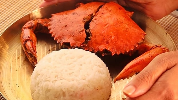 Latest and Breaking News on NDTV Latest and Breaking News on NDTV