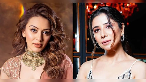 Hansika Motwani Files Rs 2 Crore Defamation Case Against Ex-Husband's Sister