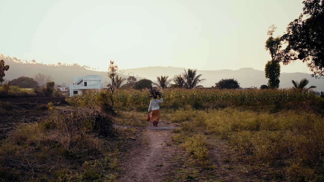 Top 10% Rural Households Control 44 % Of Land In India: Report