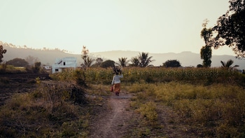 Top 10 % Rural Households Control 44 % Of Land In India: Report