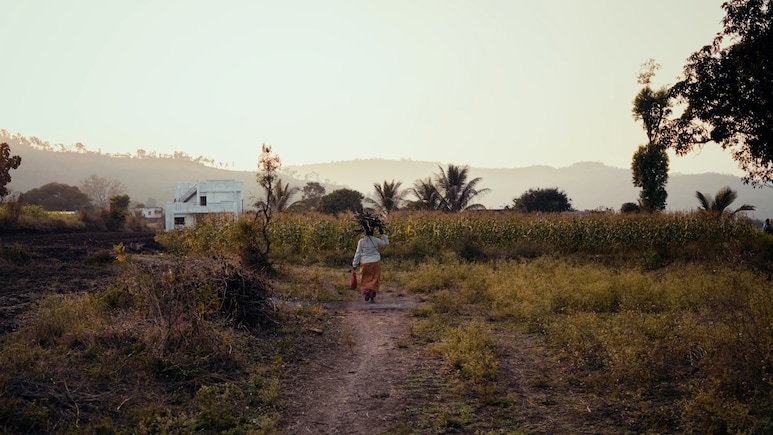 Top 10% Rural Households Control 44 % Of Land In India: Report