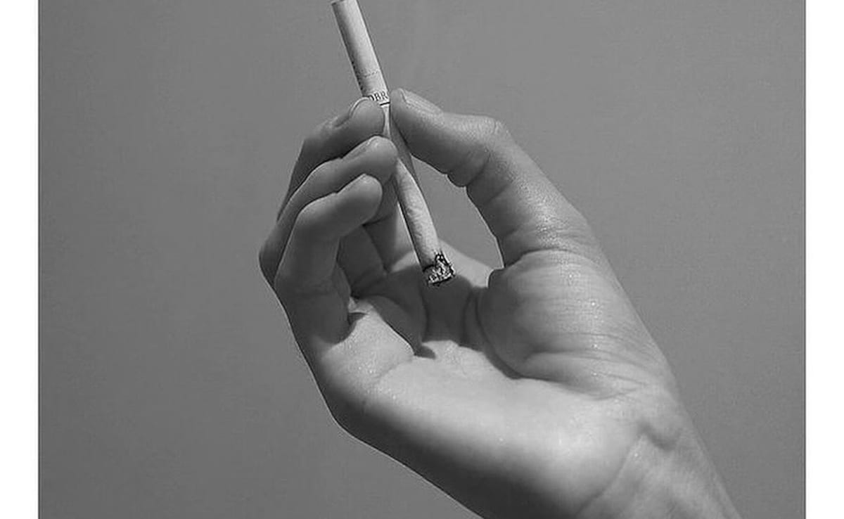 Image: Insta@happyp1ant