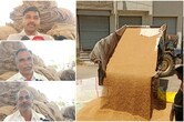 फसल गेहूं की और मैसेज आ रहा सरसों का, राजसमंद में ऑनलाइन गड़बड़ी से किसान बेहाल