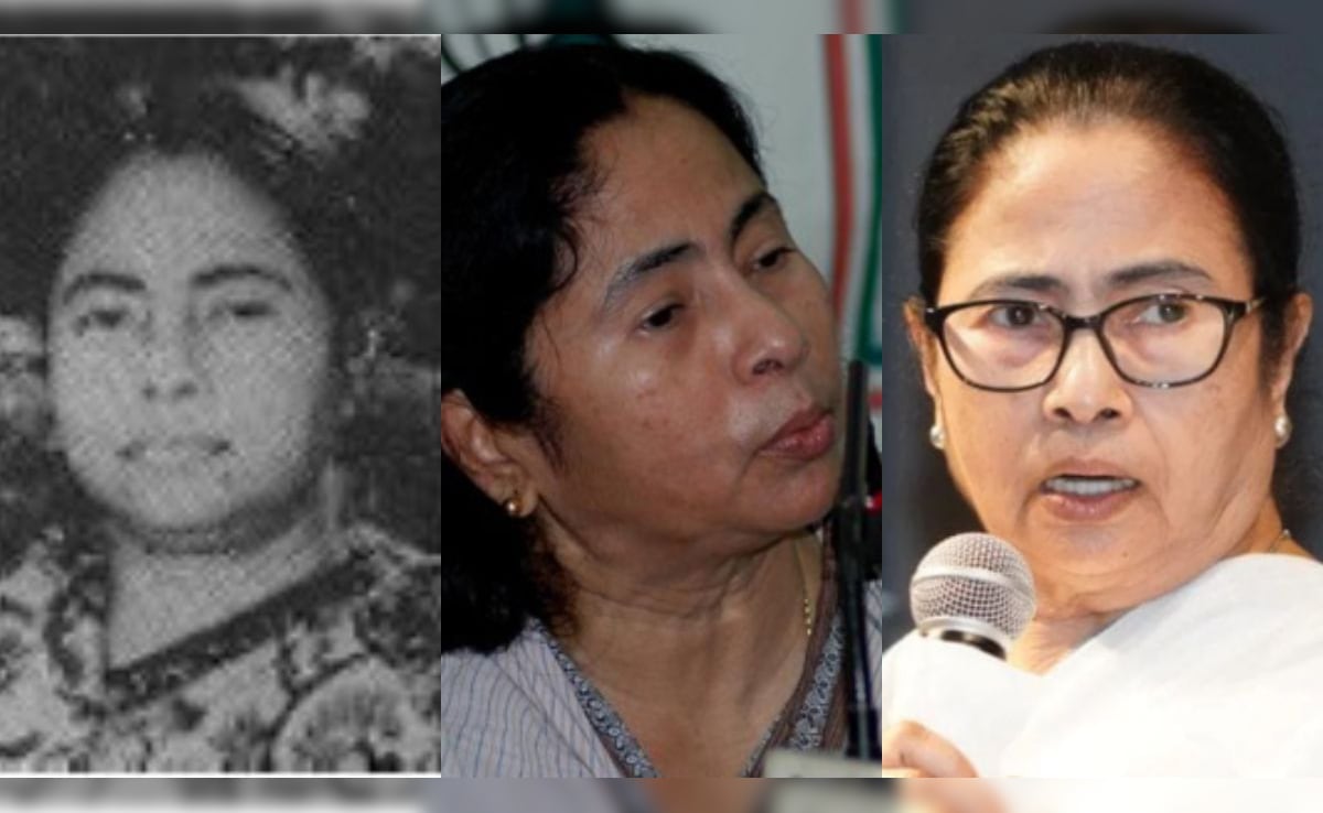 From Climbing On JP's Car To Ousting Left: Mamata Banerjee's Bengal Journey