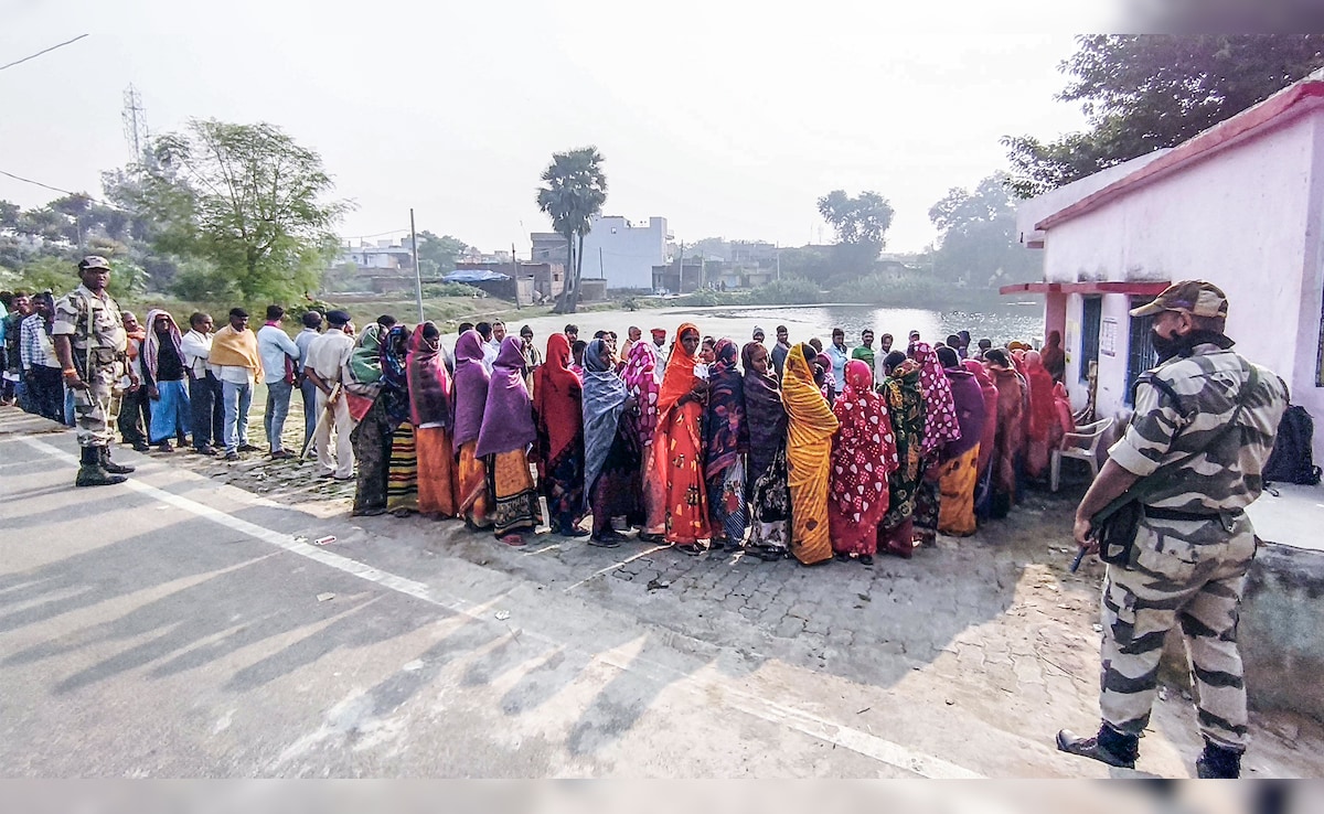 Opinion: Opinion | Behind West Bengal's Record Voter Turnout, A Curious Pattern