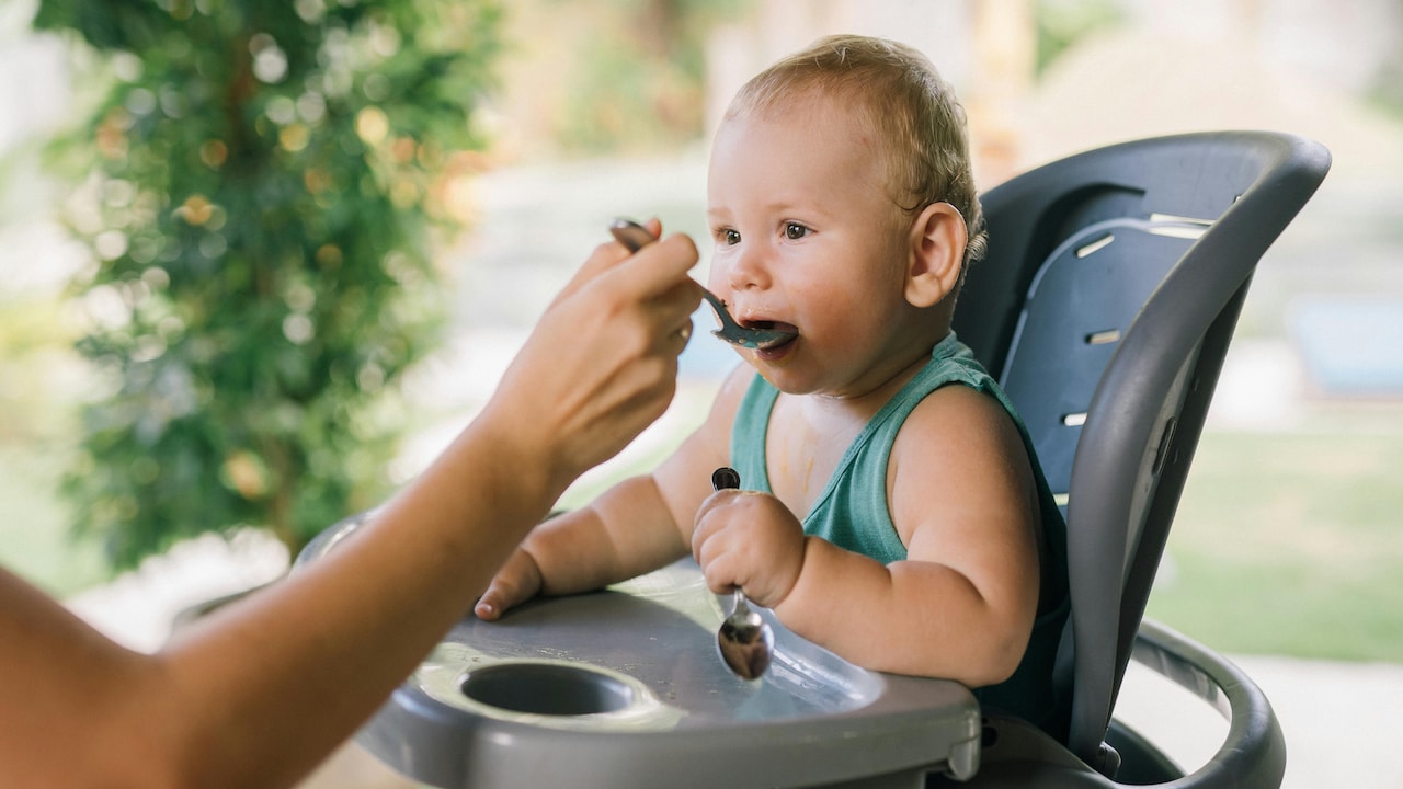 Baby Booster chairs that make mealtime easier for babies