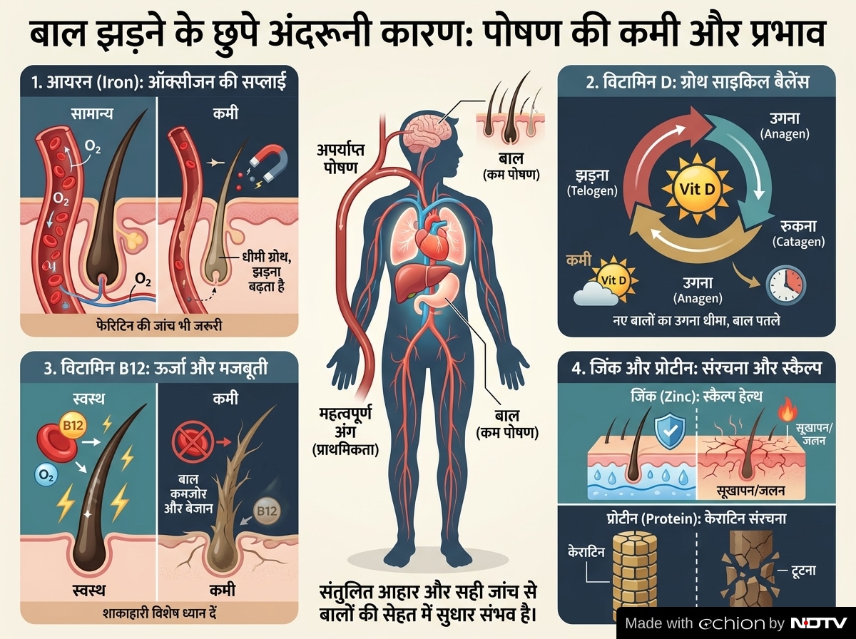 Latest and Breaking News on NDTV