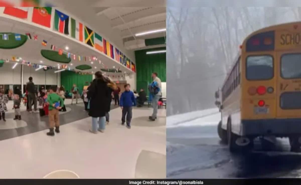 भारत और अमेरिका के सरकारी स्कूलों में इतना फर्क? NRI महिला का खुलासा सुनकर चौंक जाएंगे