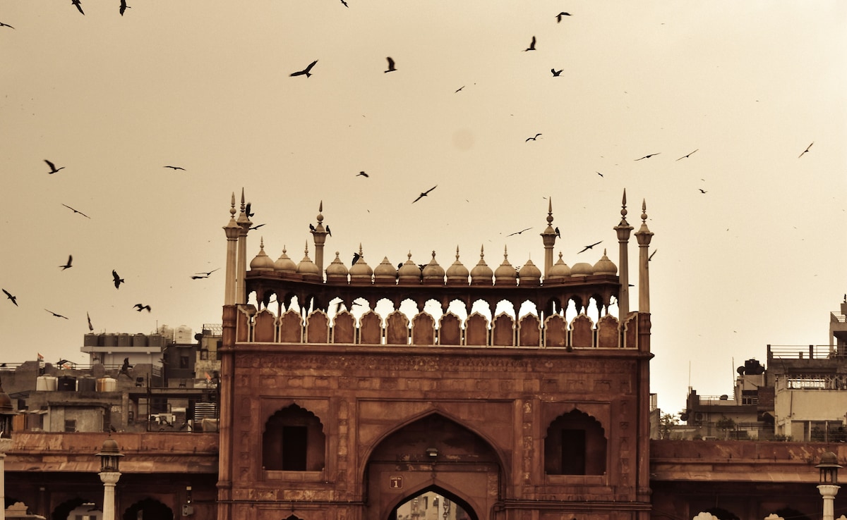 Latest and Breaking News on NDTV