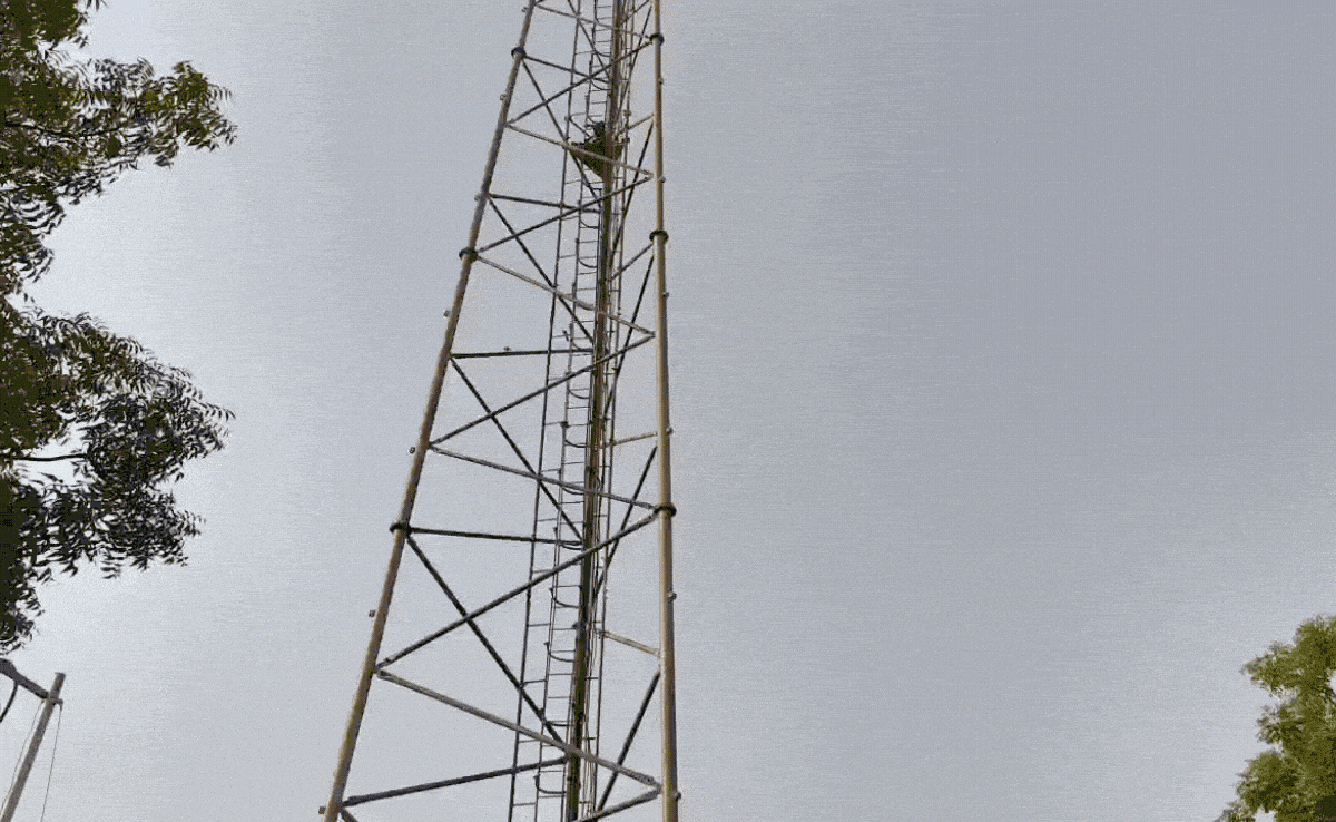 Instagram वाले 'कमलेश' ने तोड़ा दिल, तो दिल्ली वाले पति 'अजय' के लिए टावर पर चढ़ी 'सीमा'; भदोही में बड़ा ड्रामा