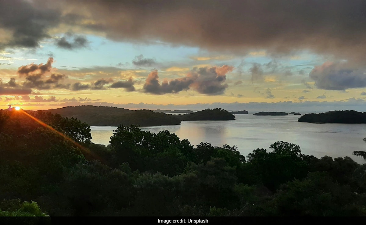 The Art of Baking: From Classic Bread to Artisan Pastries