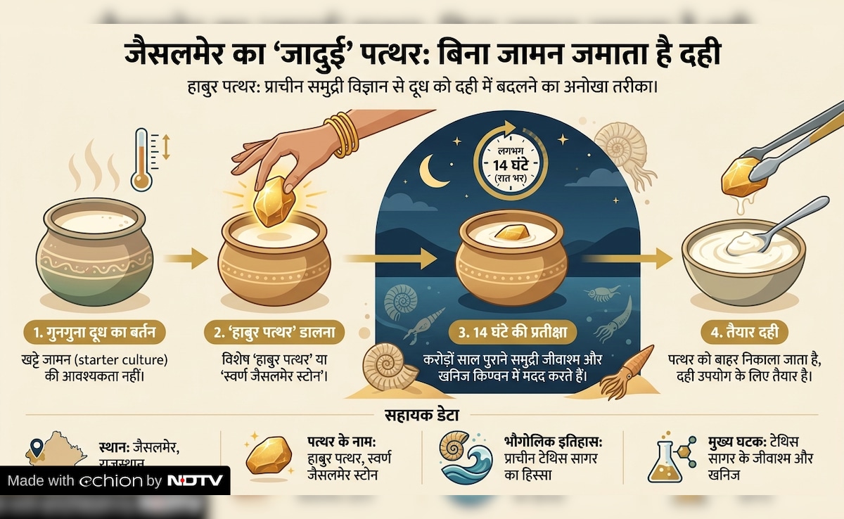 Latest and Breaking News on NDTV