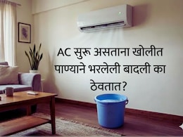 AC Room Tips : AC सुरू असताना खोलीत पाण्याने भरलेली बादली का ठेवतात? जबरदस्त फायदा, नेमकी पद्धत जाणून घ्या