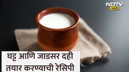 Homemade Thick Curd: उन्हाळ्यात दही कसे तयार करावे? मार्केटसारखे घट्ट दही तयार करण्यासाठी फॉलो करा 10 स्टेप्स