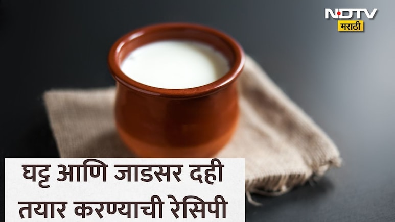 Homemade Thick Curd: उन्हाळ्यात दही कसे तयार करावे? मार्केटसारखे घट्ट दही तयार करण्यासाठी फॉलो करा 10 स्टेप्स