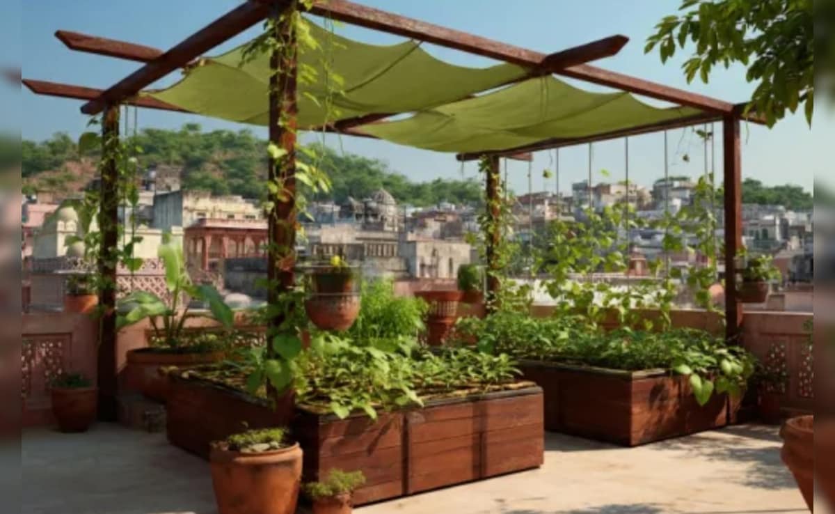 Latest and Breaking News on NDTV