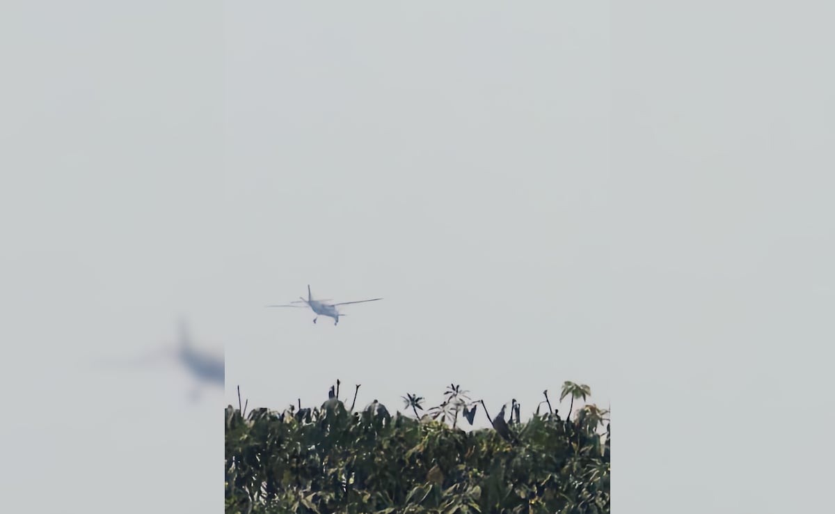 The Art of Baking: From Classic Bread to Artisan Pastries