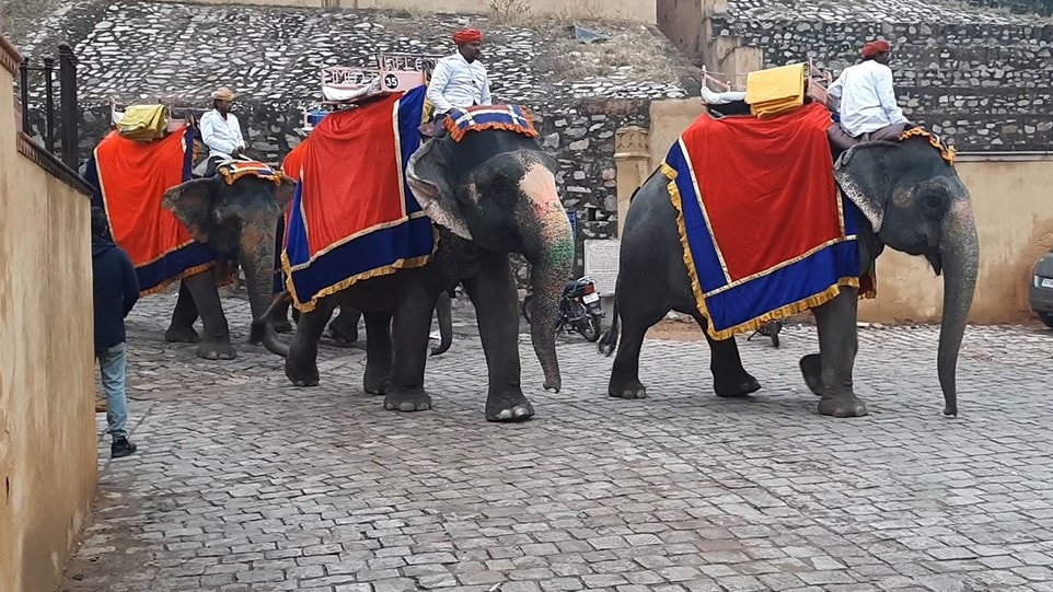 Latest and Breaking News on NDTV